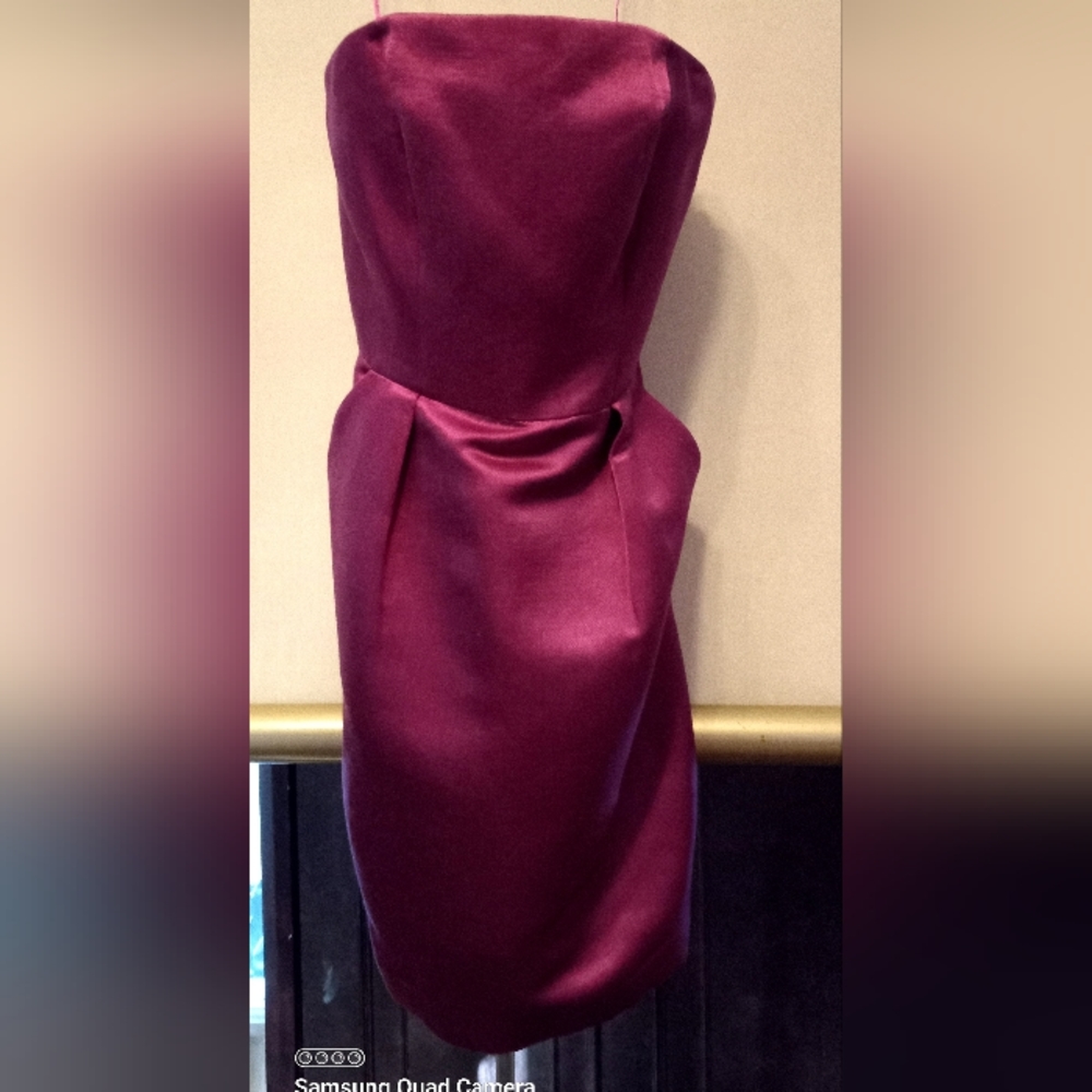 Beth Bowley 6 NWOT Strapless Dress